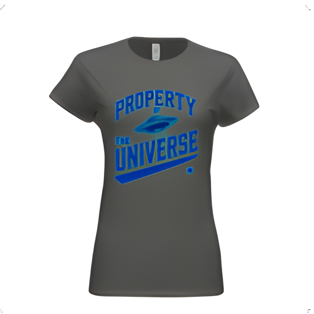 Gray t-shirt with blue 'PROPERTY UNIVERSE' text on a white background